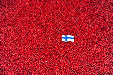 travel in Finland