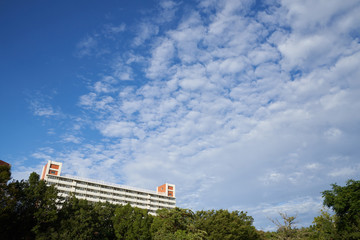 団地と広い空