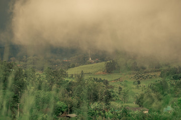 The high mountain panorama nature background, the color of the light changes according to the climate, the wind and the blurred coolness of the mist blowing through, the integrity of the forest