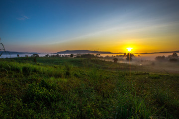 Obraz premium Natural blurred background of fog scattered among trees in the morning, with soft sunlight from the sun, seasonal beauty.