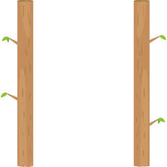 新緑の木のフレーム