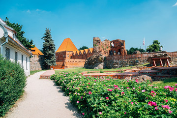 Teutonic Castle ruins in Torun, Poland