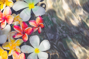 Fototapeta na wymiar Frangipani flowers colorful tropical scent on water treatment in the health spa is illustrated