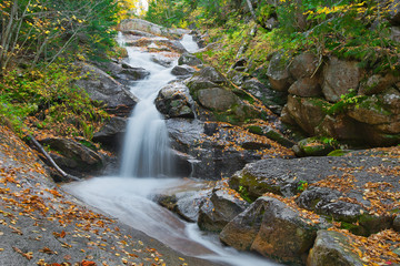A waterfall in the fall full of fall or autumn colors in the forest