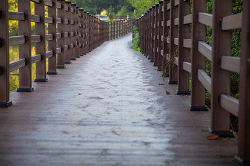 Lakeside promenade surrounded by fence