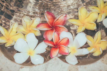 Obraz na płótnie Canvas Frangipani flowers colorful tropical scent on water treatment in the health spa is illustrated