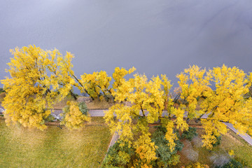 beautiful aerial landscape. colorful park scene in autumn with yellow foliage and river