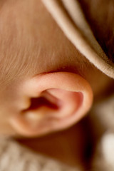 Naklejka premium ear of the newborn baby with flower, fingers on the foot, maternal care, love and family hugs, tenderness 