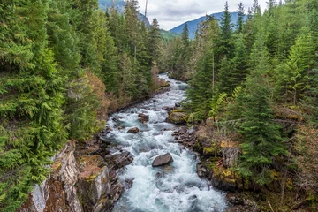 Gordijnen Majestic mountain river in Vancouver, Canada.  © karamysh