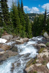 waterfall in the forest