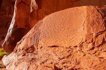 Desert landscape in Monument Valley
