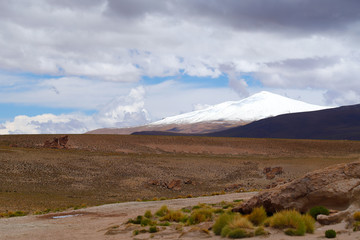 Snow-capped volcanoes and desert landscapes around the Laguna Turquiri, Bolivia. Andean landscapes, the Bolivia Plateau