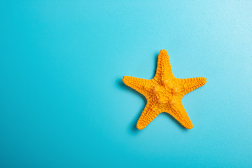 Fototapeta na wymiar orange starfish on blue background with copy space