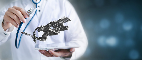 Doctor using digital molecule interface