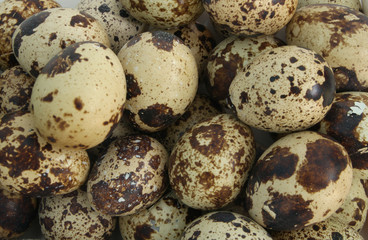 Quail eggs background