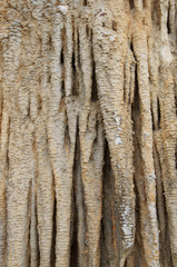 Obraz premium Marble stone background (Calcite Stone) 