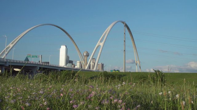 4K - LOW Angle - The Dallas Skyline is Framed by the Margaret McDermott Bridge with the Iconic Reunion Tower in the center. Slow moving traffic drives over the bridge on a beautiful day.