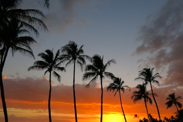 Kauai Island sunset2