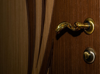 iron door handle with beautiful lines