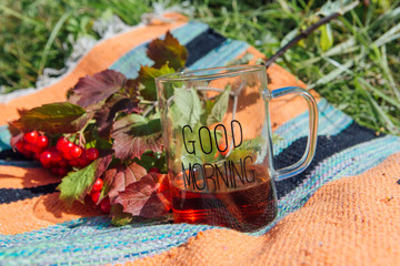 Tea in a clear cup and a branch of viburnum on the carpet outdoors.