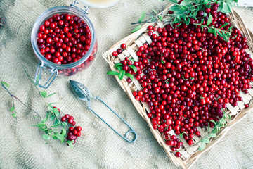 autumn berries on table, lingonberry raw