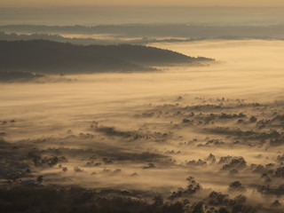 Misty Valley Morning