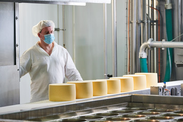 Dairy factory. worker at cheese food production conveyer