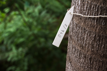 Close up DIY white tag coding for the trees made from plastic bottle garbage with blurry natural green background. Image for the environment or agriculture or reuse and recycle concept.