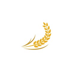 Wheat logo template vector icon