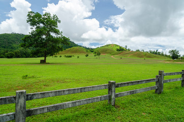 Fototapeta na wymiar Fence in the green field. Beautiful landscape.