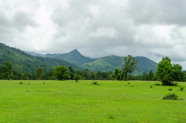 View of beautiful landscape with fresh green meadows and mountain.