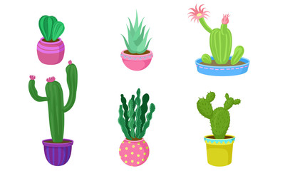 Set of cacti in flower pots. Vector illustration.