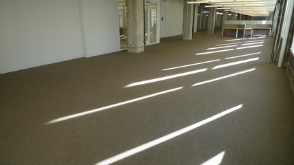 Empty office space with sunlight coming through windows