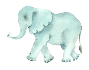 hand drawn turquoise elephant