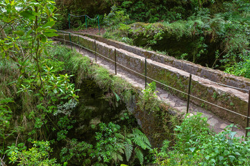 Wanderweg zum Grünen Kessel, Caldeirao Verde, Madeira