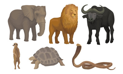 African Area Habitants Drawn In Realistic Manner Vector Illustrations