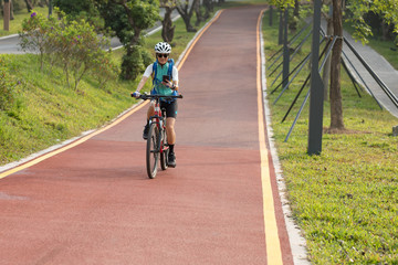 Fototapeta premium Riding on park bike path,using smartphone while riding bike on sunny day