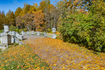 Autumn landscape and landscape in the Park of Pavlovsk, Leningrad region.