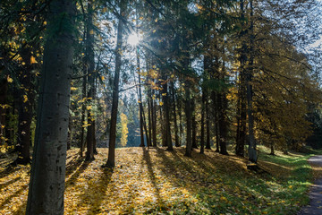Autumn landscape and landscape in the Park of Pavlovsk, Leningrad region.