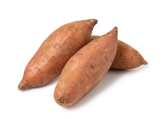 Sweet Potato