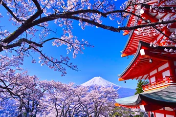 Fototapeten 春の桜咲く新倉山浅間公園内の五重塔と富士山 © 7maru