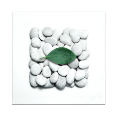 the white frame with a pile of stones and one fresh green leaf. all isolated on white background.