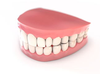 Fake Teeth Set