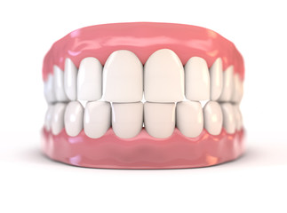 Fake Teeth Set