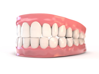 Fake Teeth Set