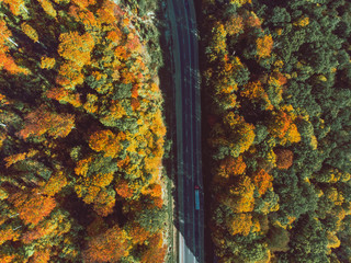 aerial view of autumn highway in forest
