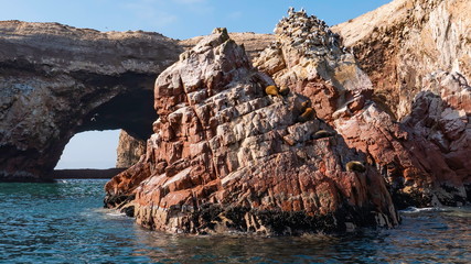 Sea lions relaxing on rocks of Ballestas Islands, Paracas National Reserve, Pisco region, Peru