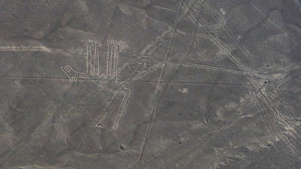 Aerial view of the Dog figure in Nazca Lines, Peru