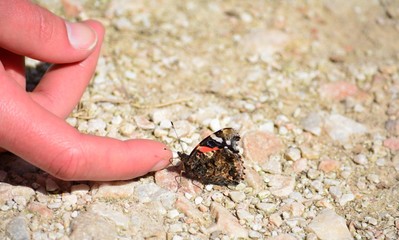 Hallo Human How are you?