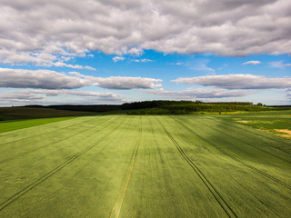 Vue aérienne d'un champ. Vue aérienne d'un paysage agricole. L'agriculture dans la campagne. Un champ de céréales en été.